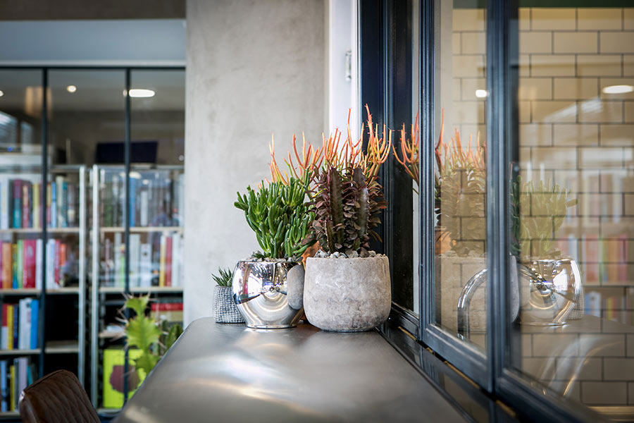 דנון ספריה קולינרית