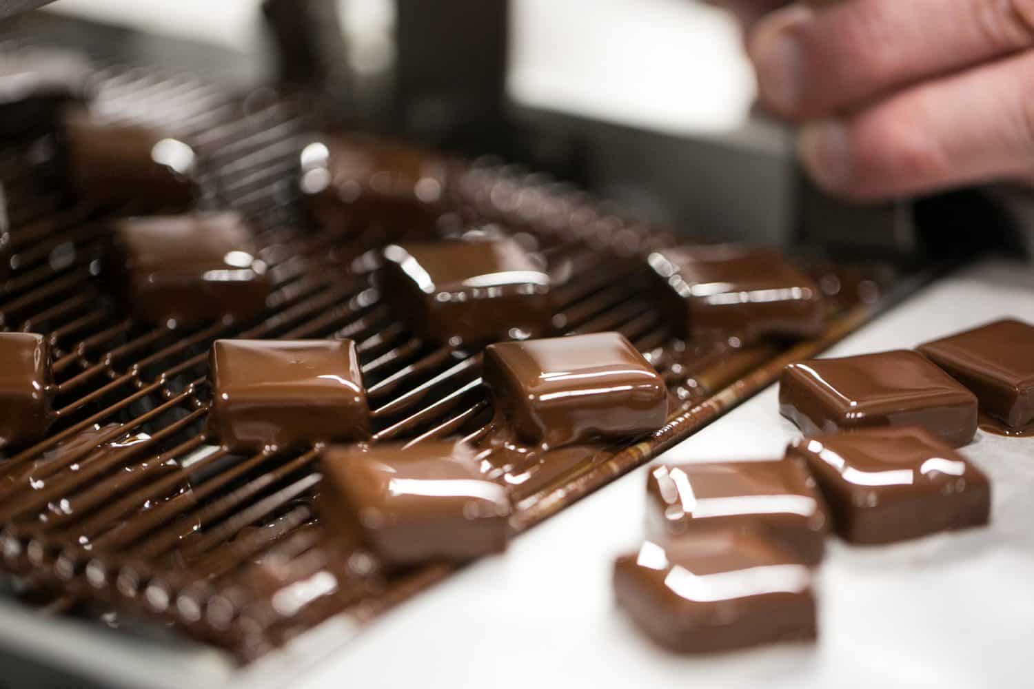 קורס שוקולטייר בדנון