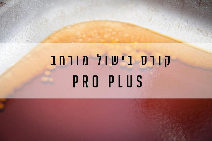 לימודי בישול - פרו פלוס