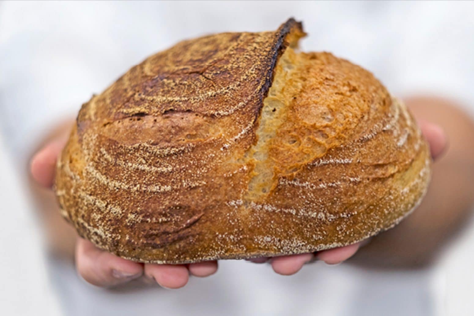 קורס אפיית לחם