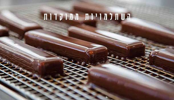 דנון, סטאז' מקצועי בצרפת